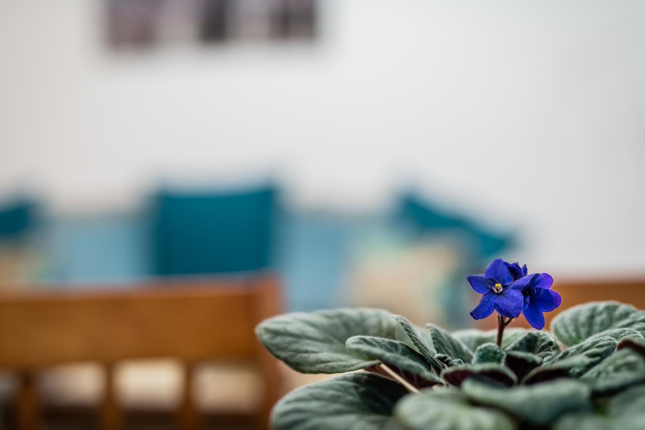 Apartamenty Bosacka Wawelofts Krakau Buitenkant foto